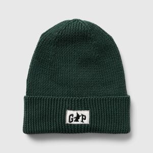 New With Tags Kids‎ Gap & Wicked Green Limited Edition Beanie